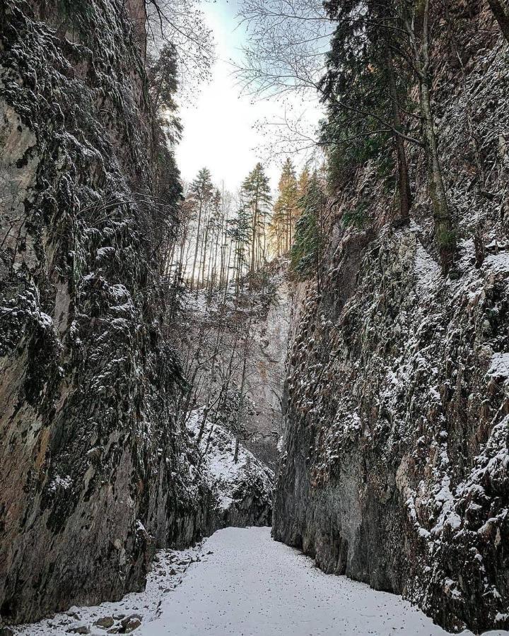 Pensiunea 3 Brazi Zărneşti エクステリア 写真